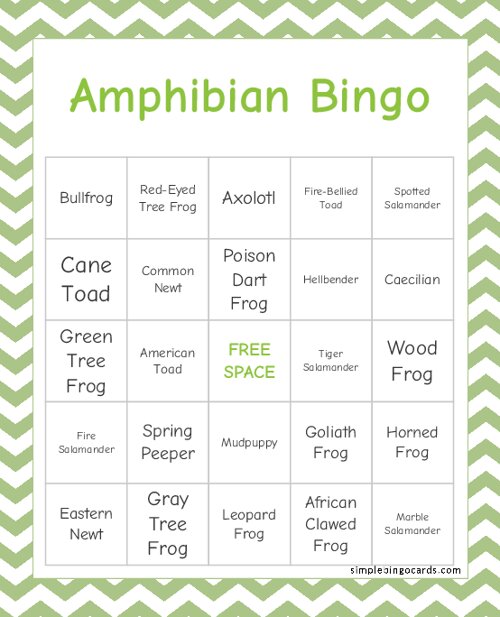 Amphibian Bingo