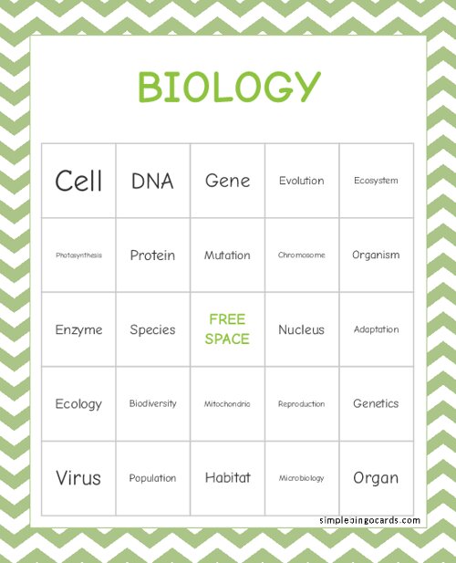 Biology Bingo