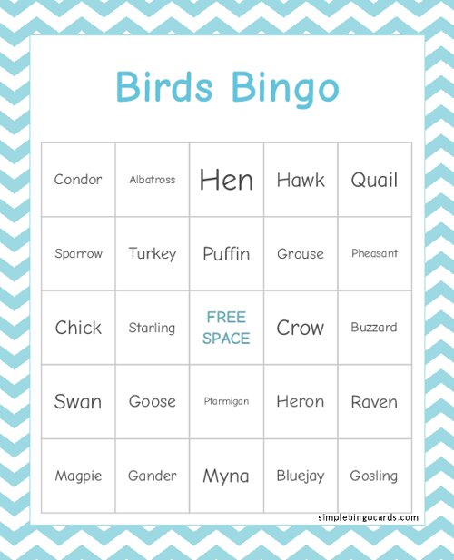 Birds Bingo