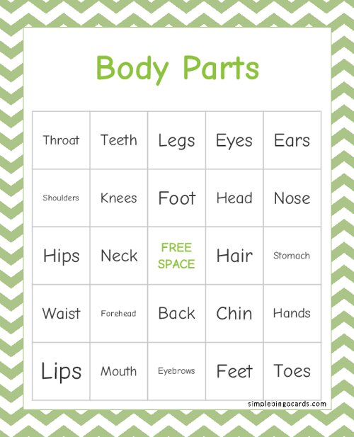 printable-body-parts-bingo