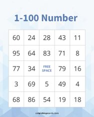 1-100 Number Bingo