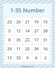 1-35 Number Bingo