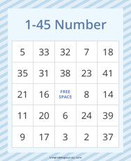 1-45 Number Bingo