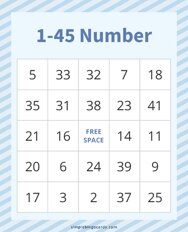 1-45 Number Bingo