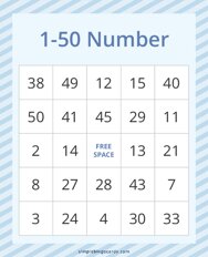 1-50 Number Bingo