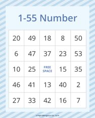 1-55 Number Bingo