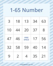 1-65 Number Bingo
