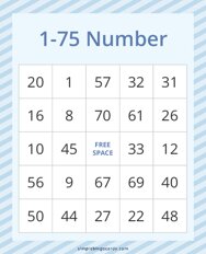 1-75 Number Bingo