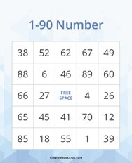 1-90 Number Bingo