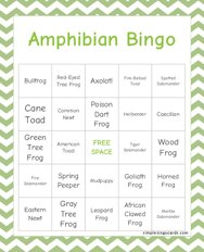 Amphibian Bingo