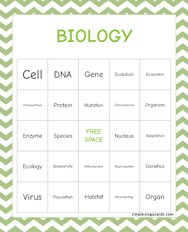 Biology Bingo