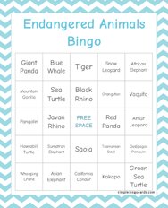 Endangered Animals Bingo