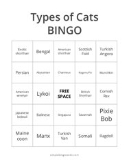 Cat Breeds Bingo